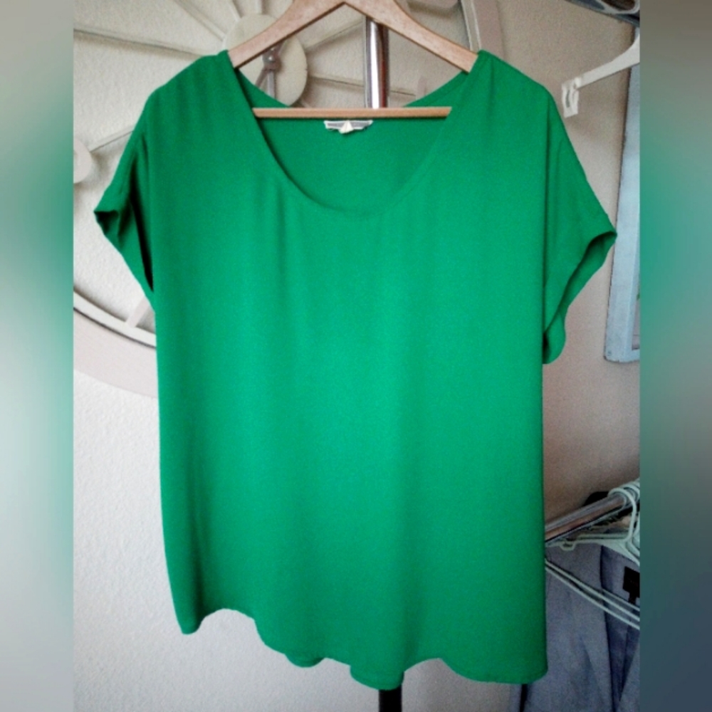 Pleione Green Blouse